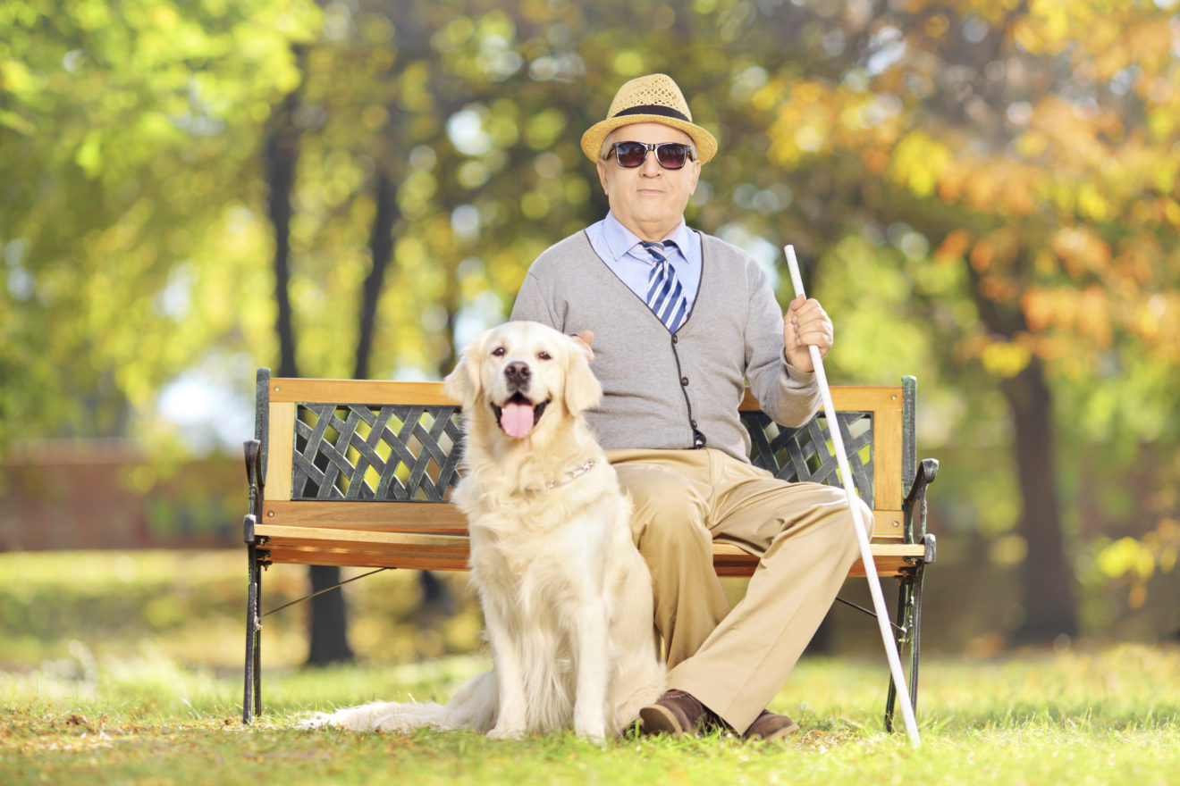 A man wearing a sun hat and sitting on a park bench. He is also wearing glasses and holding a cane. A golden retriever is sitting behind him. Behind them are trees in a park.