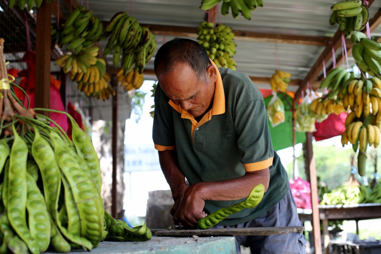 Man leaning over a bench on which he is handling a large, long seed pod. He is under an awning of a rustic looking shopfront, there are bunches of bananas hanging the roof and on tables behind him and a bunch of the seed pods can be seen on the bench in the foreground.
