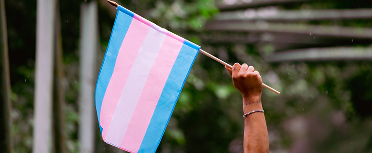 [A hand holds up the trans and gender diverse flag of blue, pink and white bands]