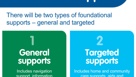 Types of foundational supports. There will be two types of foundational supports - general and targeted. 1 - General supports include navigation support, information and capacity building for individuals, families and communities. 2 - Targeted supports include home and community care-type supports, aids and equipment, early childhood supports, psychosocial supports and supports for adolescents and young adults.