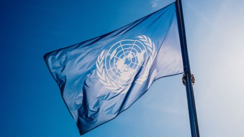 United Nations flag waving in the wind.