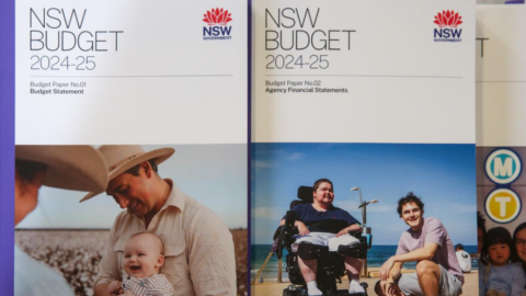 A selection of the 2024-25 NSW Budget Papers