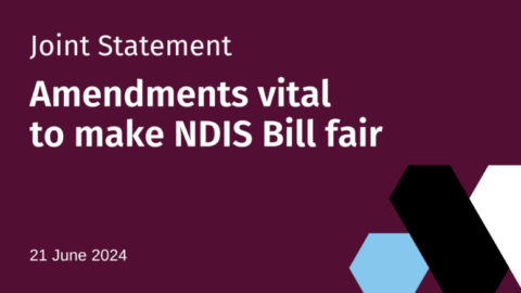 Text reads Joint Statement Amendm,ents vital to make NDIS Bill fair