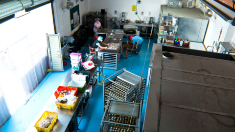Three people working in an industrial kitchen shot from overhead.