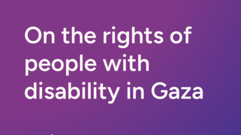 Purple graphic reads Joint Statement. On the rights of people with disability in GAza with WWDA and NEDA logos