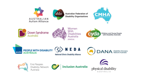 Logos of Disability Representative Organisations that have endorsed the DRO Joint Statement on Lateral Violence in the Disability Community.