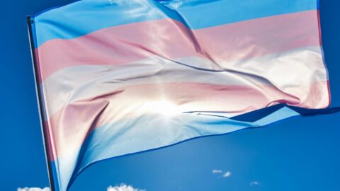 A transgender flag against a bl;ue sky. The trans flag consists of blue stripes top and bottom with two pink strips and a white stripe in the centre