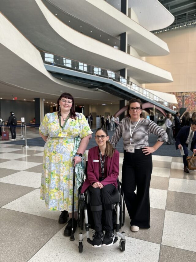 1PWDA group photo in UN Foyer - People with Disability Australia PWDA delegation in the UN foyer