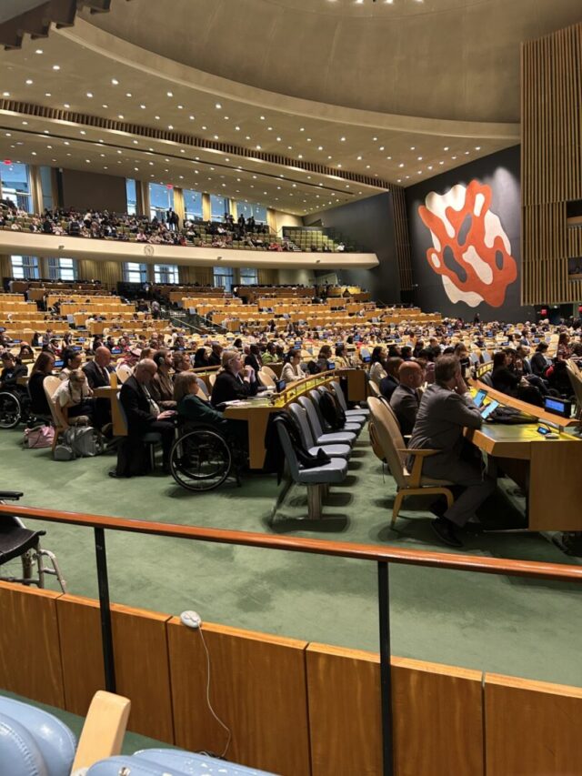 2 UN General assembly from the floor_2 - People with Disability Australia UN-General-assembly-from-the-floor