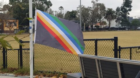 disability pride flag
