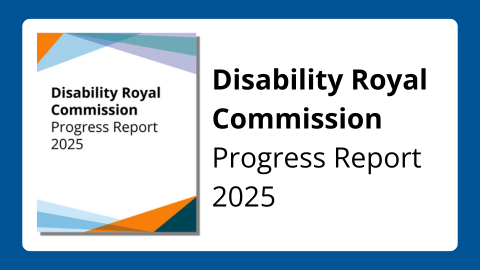 Image shows the front cover of the Disability Royal Commission Progress Report 2025. Text reads Disability Royal Commission Progress Report 2025.