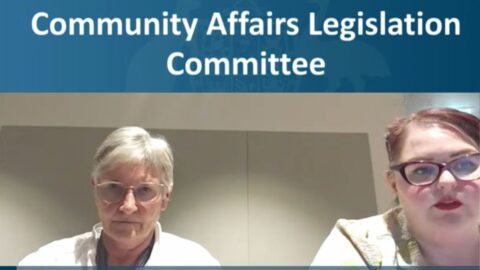 Featured Image size guide WordPress - People with Disability Australia Megan Spindler-Smith at Senate Community Affairs Legislation Committee