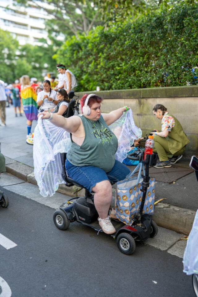 PWDA Mardi Gras participants 2026