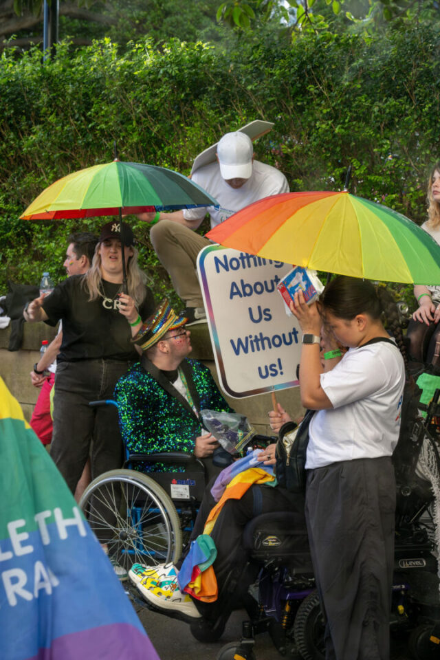 PWDA members In Focus at Mardi Gras