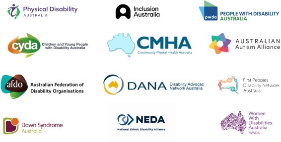 Joint DRO logos for organisations endorsing statement