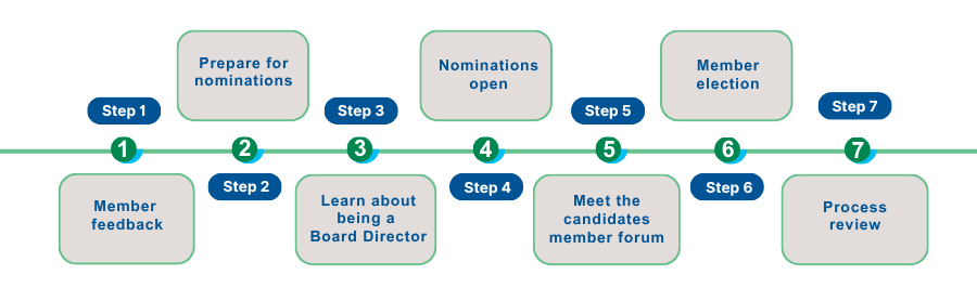 Step-by-Step flow chart showing PWDA board nomination and election review process