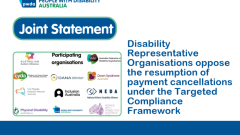 Joint submissions 1200 x 900 px - People with Disability Australia ""